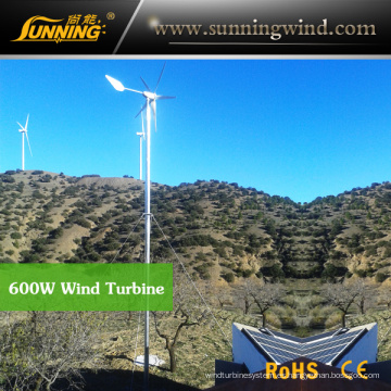 Generador de turbina de viento que acampa de China para el sistema de la energía solar del viento (MAX 600W)